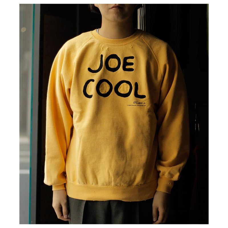 �ͥ��������֥� NEXUSVII. JOE COOL ���롼�ͥå��������å� JOE COOL CREW (ROA-NNK-C0F)