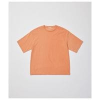 ����ƥꥢ ULTERIOR �ե����� �ĥ����� ŷ�� ���åȥ��� T����� FADED TWIST TENJIKU C/O TEE (UCS108-LA244)