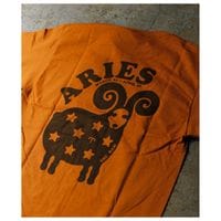 �ͥ��������֥� NEXUSVII. ARIES/���Ӻ� T����� ARIES TEE (RWA-NGS-T0A)