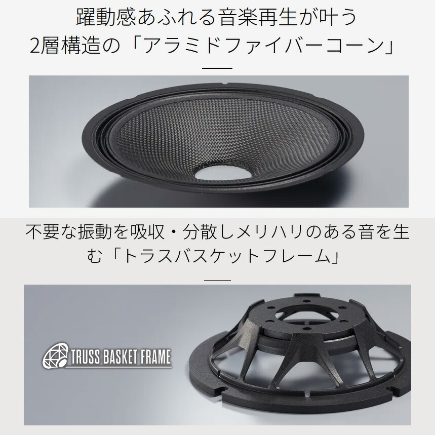未使用品 Pioneer TS-C1746S DS-1093CA ツィーター 未使用品 Pioneer