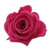 Florever ¥¹¥¿¥ó¥À¡¼¥É¥í¡¼¥º¡Ê6¡Ë ¥Û¥Ã¥È¥Ô¥ó¥¯