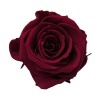 Florever ¥¹¥¿¥ó¥À¡¼¥É¥í¡¼¥º¡Ê6¡Ë ¥ï¥¤¥ó