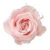 Florever ¥¹¥¿¥ó¥À¡¼¥É¥í¡¼¥º¡Ê6¡Ë ¥ß¥ë¥¡¼¥Ô¥ó¥¯