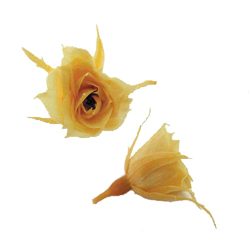 Florever �ޥ�����������(20) ��������