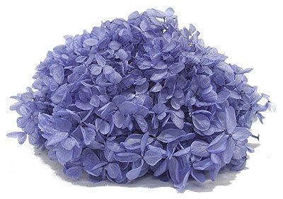 �������� �ԥ�ߥåɥ����������إå� �������֥롼