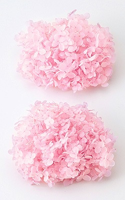 �������� ���ʥ٥뎥�إå� �ԥ�