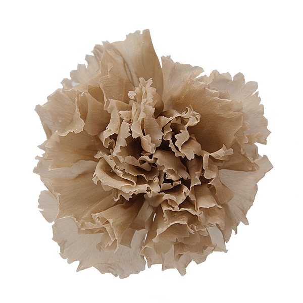 Florever �ߥ˥����͡������(12) �ء�����ʥå�