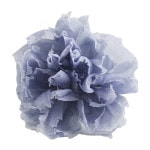 Florever �ߥ˥����͡������(12) ���åȥ�֥롼