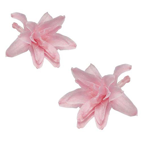 Florever チューベローズ 8 ベイビーピンク プリザーブドフラワー花材 フロールエバー フラワー チューベローズ アニーズ