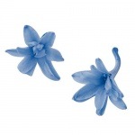 Florever ¥Á¥å¡¼¥Ù¥í¡¼¥º(8) ¥Ñ¥¦¥À¡¼¥Ö¥ë¡¼