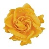 Florever ¥¬¡¼¥Ç¥Ë¥¢(6) ¥´¡¼¥ë¥Ç¥ó¥¤¥¨¥í¡¼