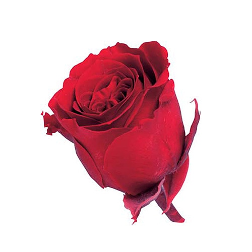 �������� �ӥӥ���(24) ��å�