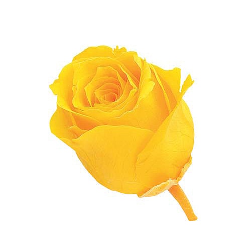 �������� �ӥӥ���(24) �ߥ⥶��������