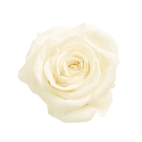 �������� ��������������(9) ����ƥ��å��ۥ磻��