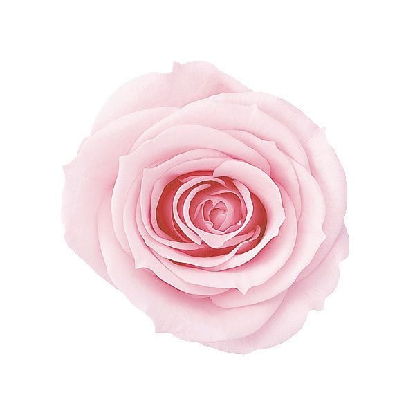 �������� ��������������(9) ���㡼�٥åȥԥ�