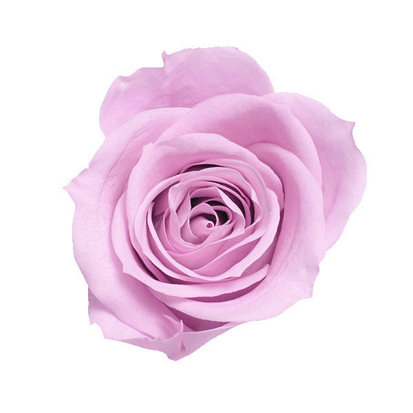 �������� ��������������(9) ���ꥹ����ԥ�