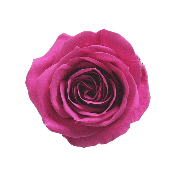 �������� ��������������(9) �ե��ܥ��