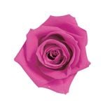 �������� ��������������(9) ���ȥ��٥꡼