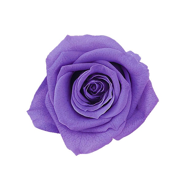 �������� ��������������(9) ��٥����