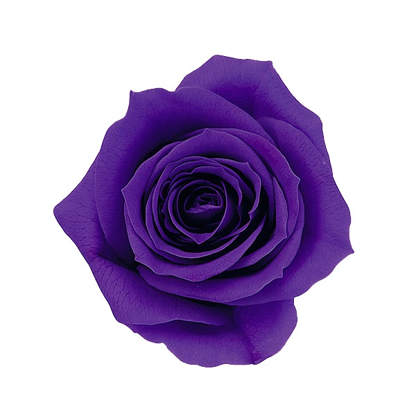 �������� ��������������(9) ���졼��