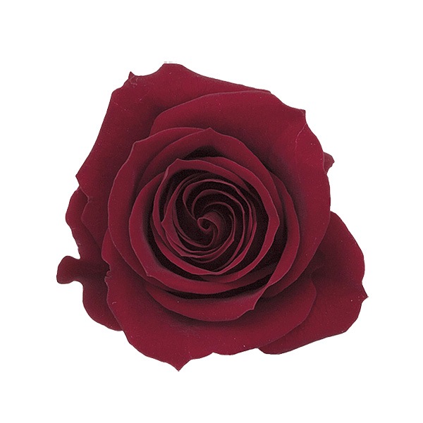 �������� ��������������(9) �磻���å�