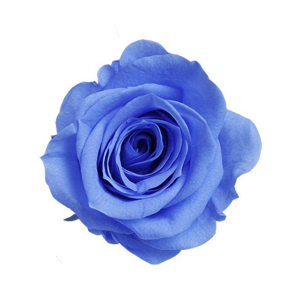 �������� ��������������(9) �������֥롼