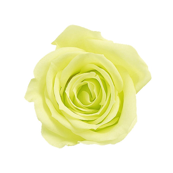 �������� ��������������(9) �ե�å��奰�꡼��