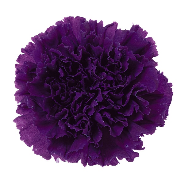 �������� �����͡������(8) �����磻��