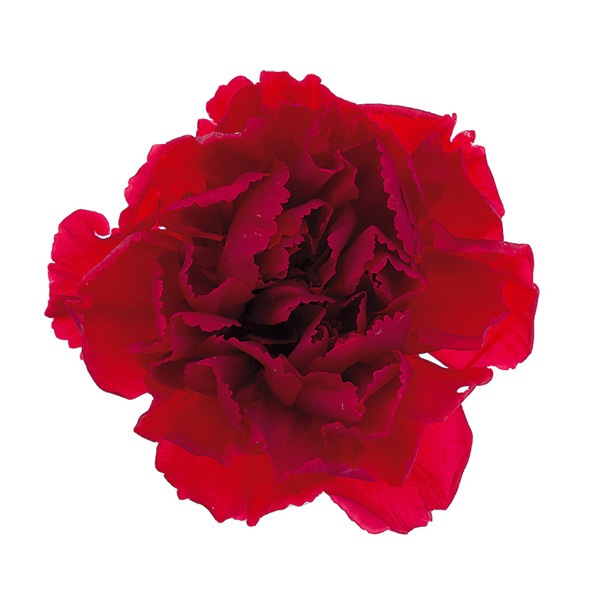 �������� �ߥ˥����͡������(9) ��å�