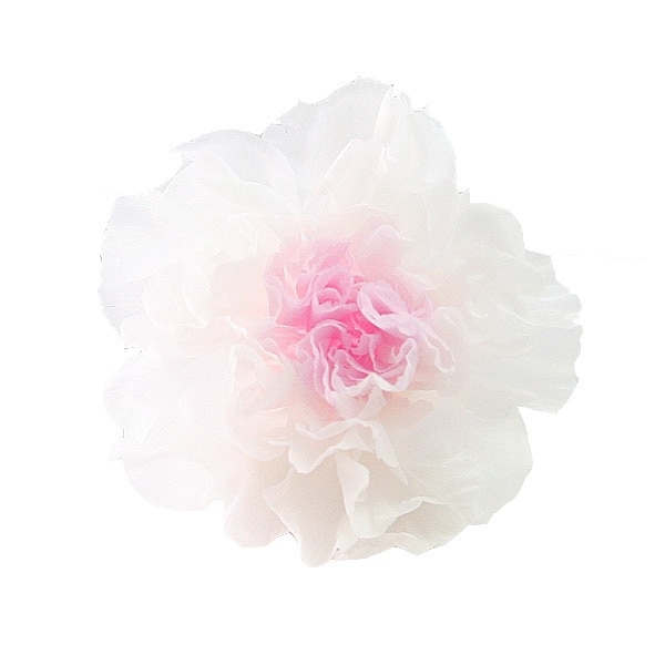 �������� �ߥ˥����͡�����󎥥ߥ�ե�����(9) �ۥ磻�ȥԥ�