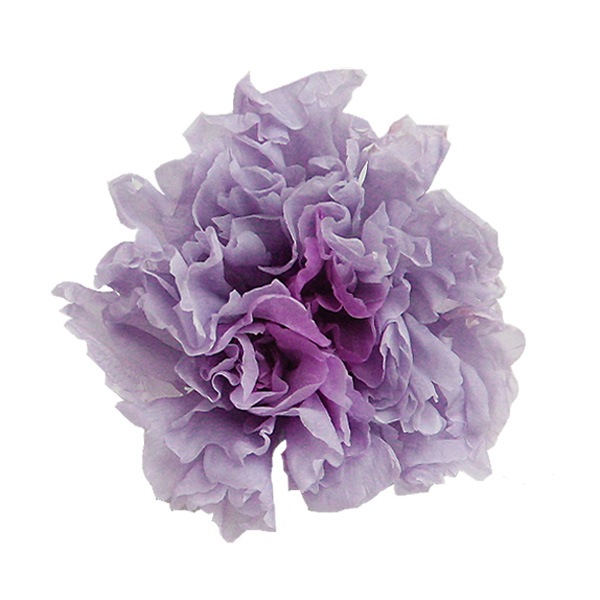 �������� �ߥ˥����͡�����󎥥ߥ�ե�����(9) �饤��å�����