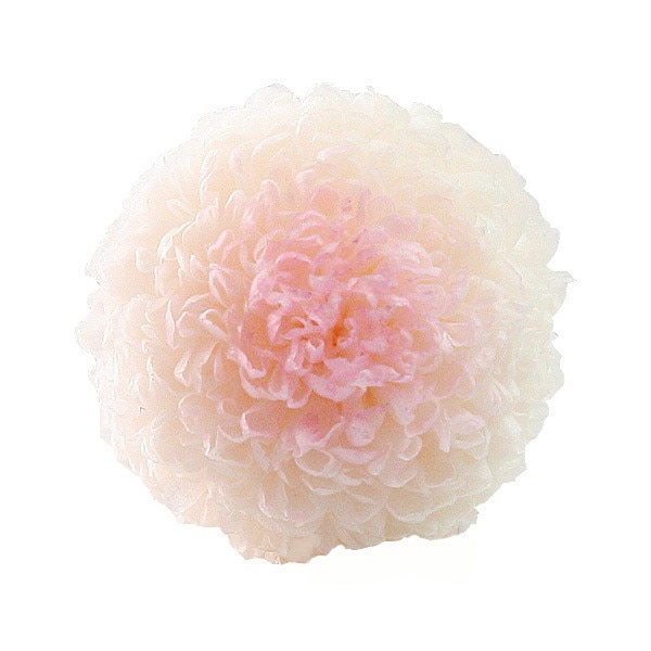 �������� �ݥ�ݥ�Ǝ��ߥǥ���(9) �ۥ磻�ȥԥ�