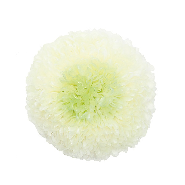 �������� �ݥ�ݥ�Ǝ��ߥǥ���(9) �ۥ磻�ȥ��꡼��