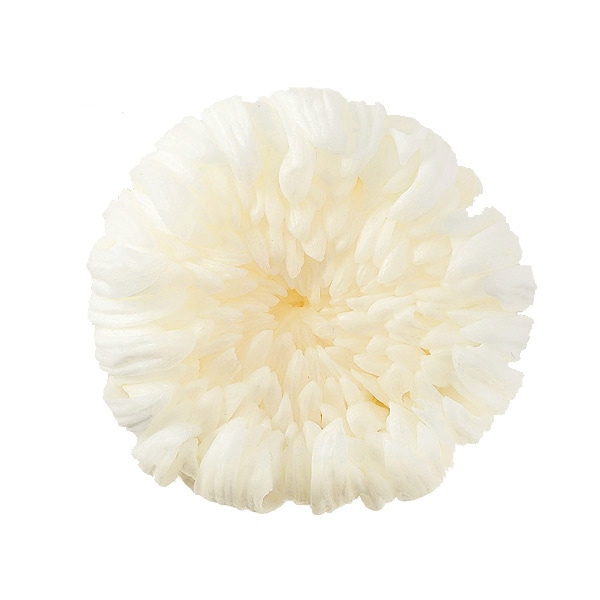 �������� �صƎ���(6) ��