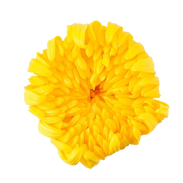 �������� �صƎ���(6) ��������