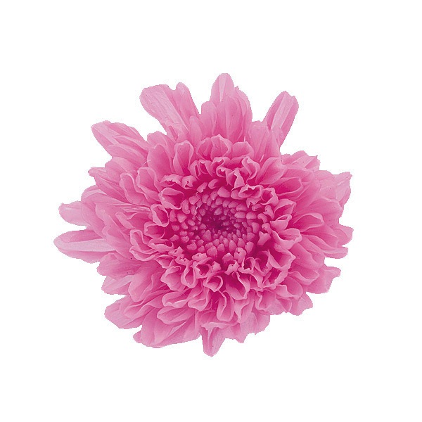 �������� ����(12) ��⤤��