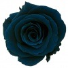 Primavera Mona(6) ¥¤¥ó¥Ç¥£¡¼¥´