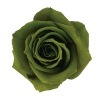 Primavera Nina(8) ¥ª¥ê¡¼¥Ö