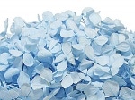 Florever ¥¢¥ó¥Ç¥¹¥¢¥¸¥µ¥¤¡¦¥Ñ¥¦¥À¡¼¥Ö¥ë¡¼