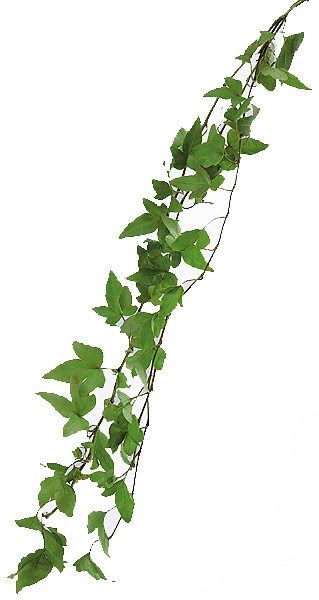 �������� �����ӡ��������å� �ե�å��奰�꡼��