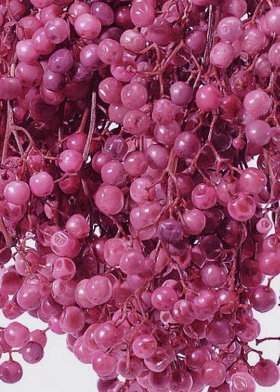 �������� �ڥåѡ��٥꡼���ץꥶ���֥� �ԥ�