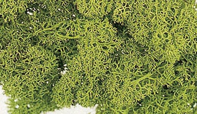 �������� ���������ɥ⥹������ ���ץ�󥰥��꡼��