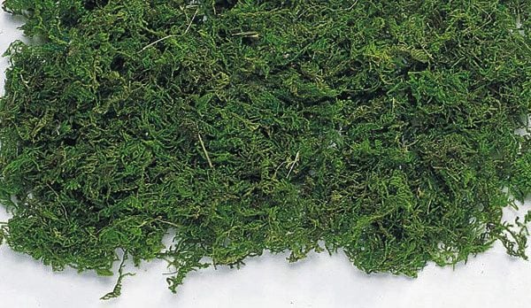 �������� ������������ ���꡼��