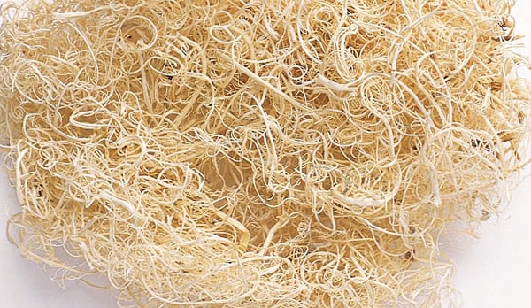 �������� �����꡼�⥹ ���եۥ磻��