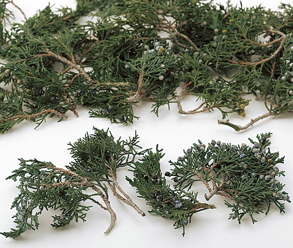 �������� �ޥ���ƥ󥸥�˥ѡ������� ���꡼��