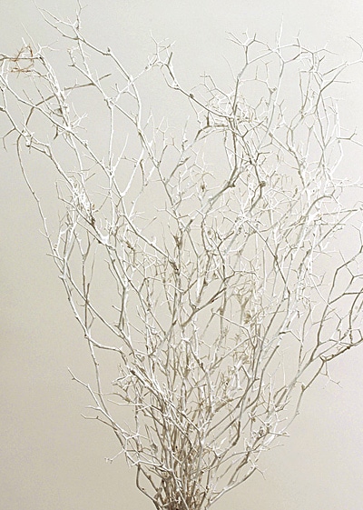 �������� �������ڥͥ��Ȏ��ץꥶ���֥� ��