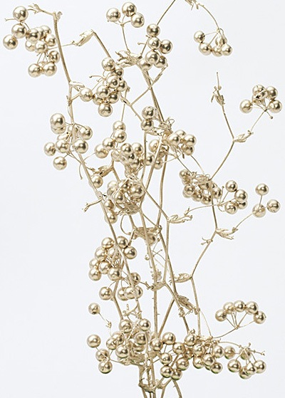 �������� ���󥭥饤�Υĥ�(���դ��� �ץ����