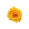 ¡Ú°ìÎØÇä¤ê¡ÛFlorever ¥Ù¥¤¥Ó¡¼¥í¡¼¥º ¥´¡¼¥ë¥Ç¥ó¥¤¥¨¥í¡¼