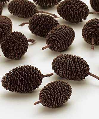 ��������. �䥷��֥� �Ρ�