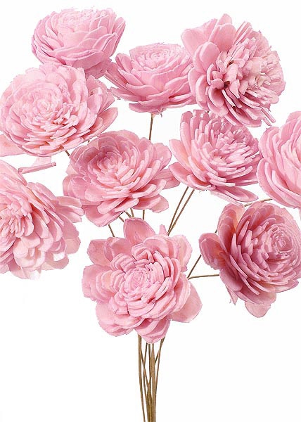 �������� �����顼���������� ���ꥹ����ԥ�